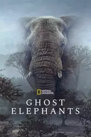 Ghost Elephants (2026)