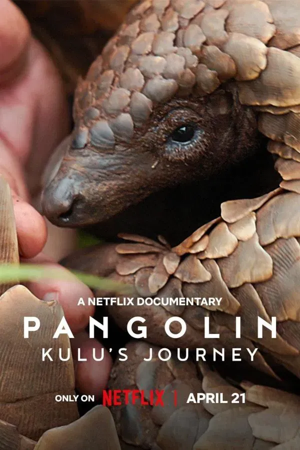 Pangolin: Kulu’s Journey (2025) การเดินทางของคูลู